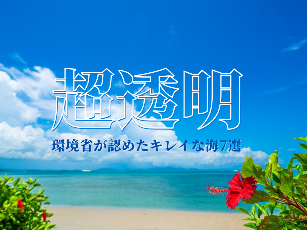 驚きの透明度！環境省の水質調査でも認められた沖縄のきれいな海7選