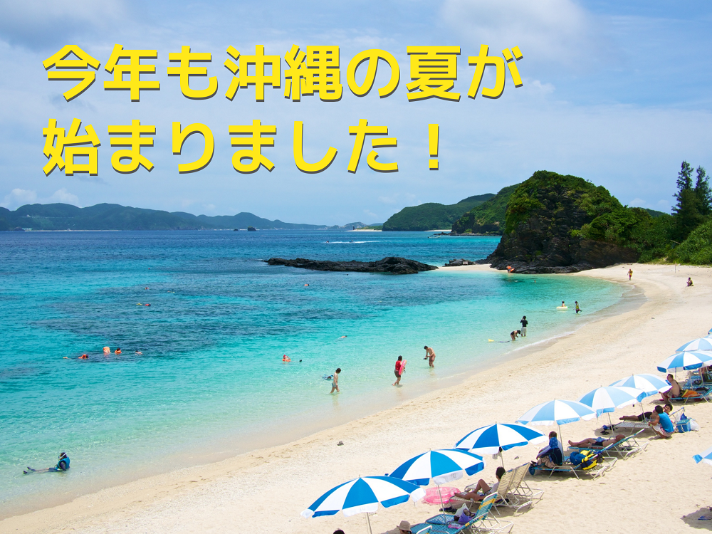 今年も沖縄の夏が始まりました。