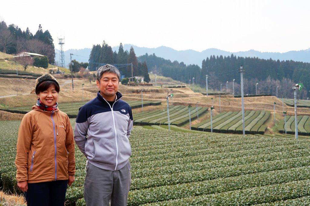 甲斐製茶園のお茶を楽しめるセットを販売 | ウォーキング高千穂